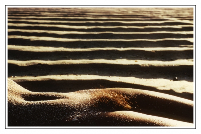 sable et courbes site.jpg